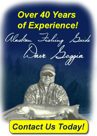 Experienced Fishing Guide in Alaska